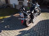 Yamaha XVS 1300A - Offers matching your search criteria