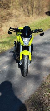 Honda CB 600 Hornet PC 41 - HONDA HORNET 600 PC41