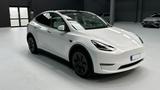 Tesla Model Y Dual Maximale Reichweite Dual AWD Navi - Tesla Model Y mit Anhängerkupplung