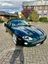 Jaguar XK8 Cabriolet -4,2l British Racing Green  - Jaguar XK8: Cabrio