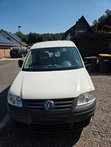 Volkswagen Caddy 2.0 SDI / LKW Zulassung - Volkswagen Caddy: Lkw Zulassung