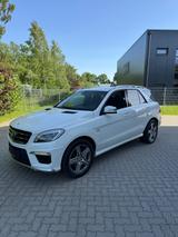 Mercedes-Benz ML 63 AMG AMG - Mercedes-Benz ML 63 AMG in Hamburg