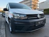 Volkswagen Caddy 1.0 TSI Kasten EcoProfi BMT | Klimaanlage - VW Caddy Gebrauchtwagen in Kassel