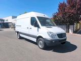 Mercedes-Benz Mercedes Sprinter 313CDI L2H2 Klima Webast... - Mercedes-Benz Sprinter: Van, Merc