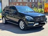 Mercedes-Benz ML 350 BlueTEC 4MATIC - - Mercedes-Benz ML 350 Gebrauchtwagen in Berlin