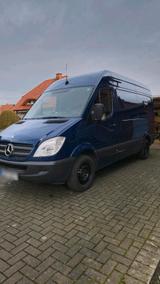 Mercedes-Benz Mercedes Sprinter W906 313CDI 2.Hand Top g... - Mercedes-Benz Sprinter aus 2010: 313