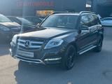 Mercedes-Benz GLK 220 CDI BlueEfficiency 4Matic/Navi/Xenon - Mercedes-Benz GLK 220 in Dortmund