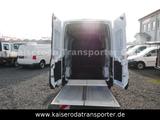 Ford Transit FT350 L2H2 Ladebordwand Bär Klima - Offers matching your search criteria