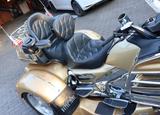 Honda Goldwing Trike GL 1800 - Angebote entsprechen deinen Suchkriterien