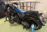 Harley-Davidson Fat Boy S110, Black Deninim - Offers