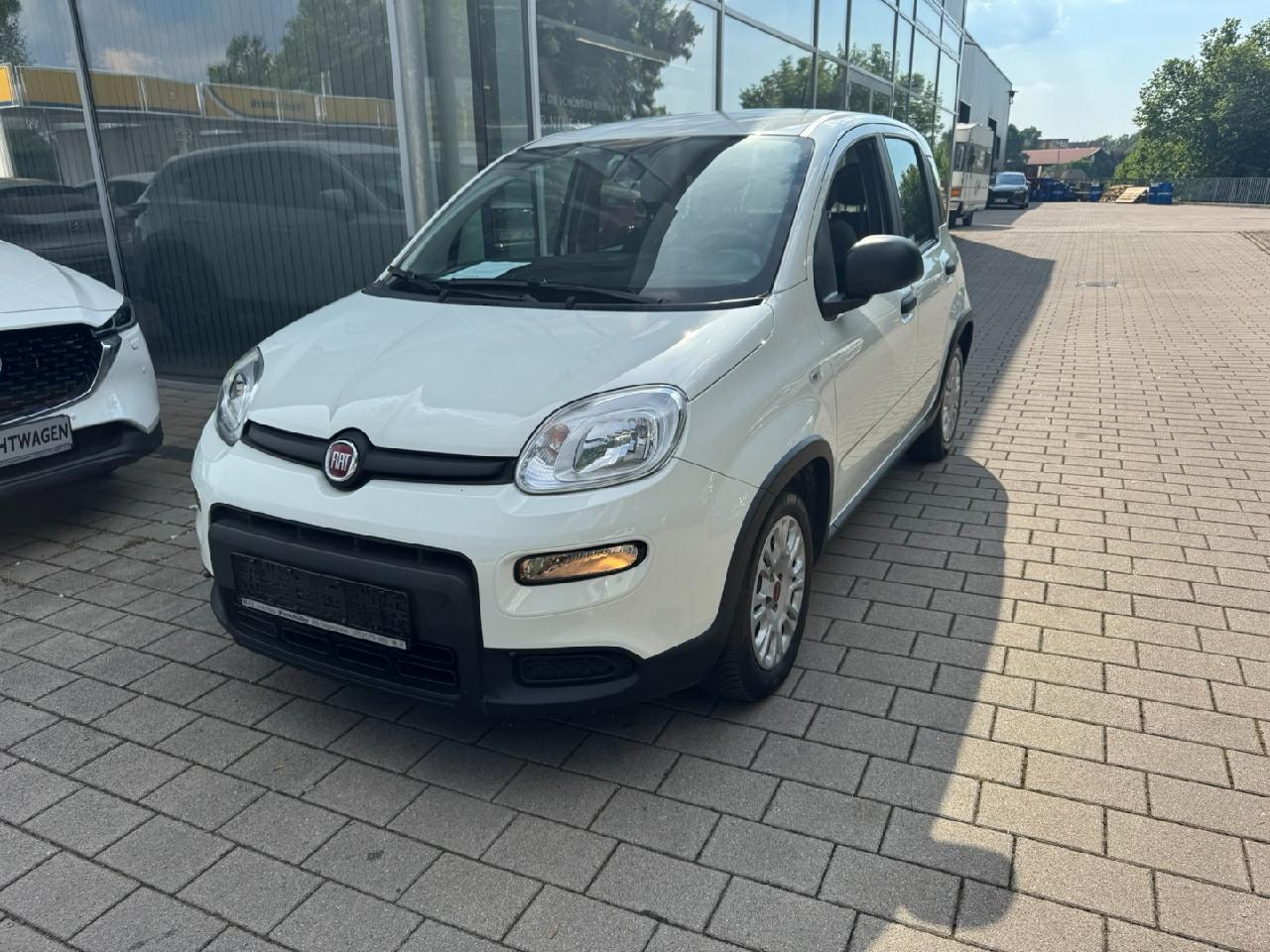 Fiat Panda Base