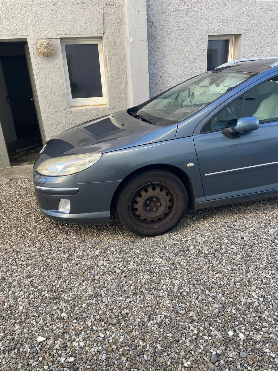 Peugeot 407 2006 — rear view