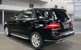 Mercedes-Benz ML 250 CDI BlueTec*SHZ*AHK*R-KAM*II.HAND*S-HEFT* - Mercedes-Benz ML 250 aus 2012