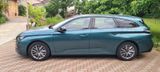 Peugeot 308 PureTech 110 Active Pack SW Active Pack - Peugeot 308 aus 2022