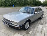 Jaguar XJ40 Daimler - Jaguar XJ40 aus 1991