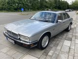 Jaguar XJ40 Daimler - Jaguar XJ40: Privatanbieter