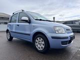 Fiat Panda 1.2 8V Dynamic - Fiat Panda aus 2010