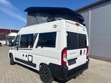 Carado VAN CV 540 PRO + Sehr gepflegt !+ Facelift + - Carado CV540 PRO