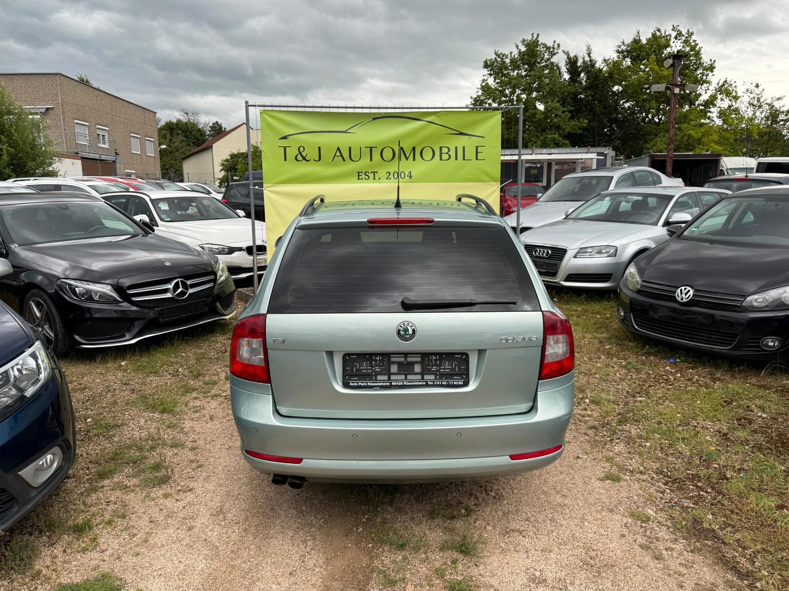 Skoda Octavia 2009 — photo 5