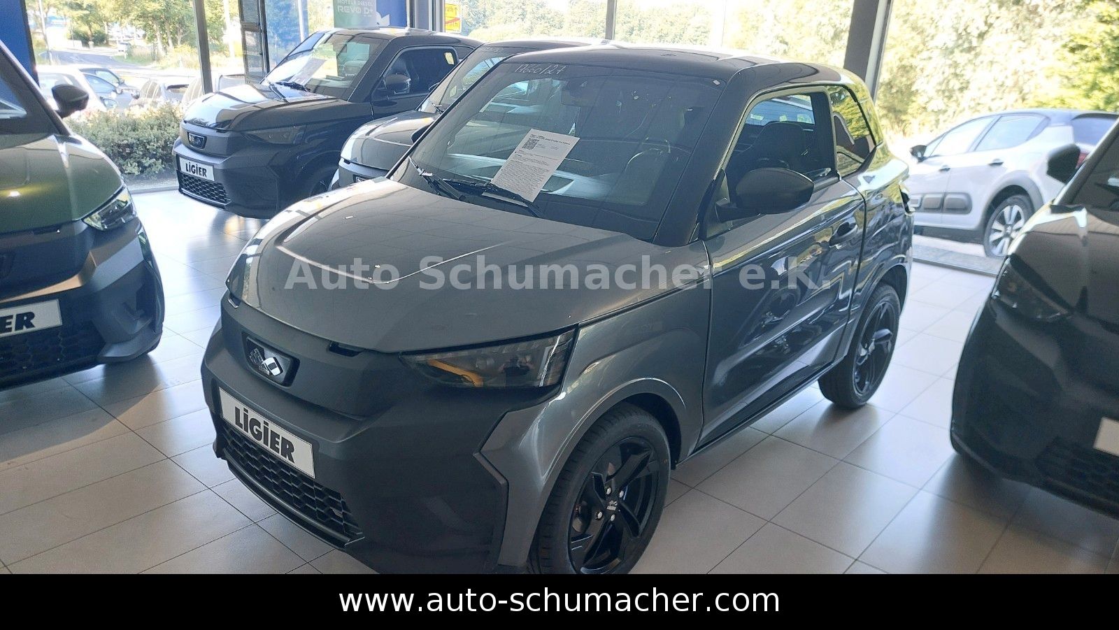 Ligier JS 50 Elite Diesel Carplay und Kamera