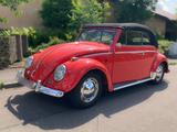 Volkswagen Käfer-Cabrio Oldtimer BJ 1956 - Offers