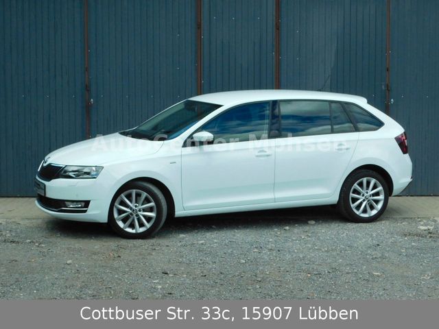 Skoda Rapid Spaceback Clever (Nr. 090)