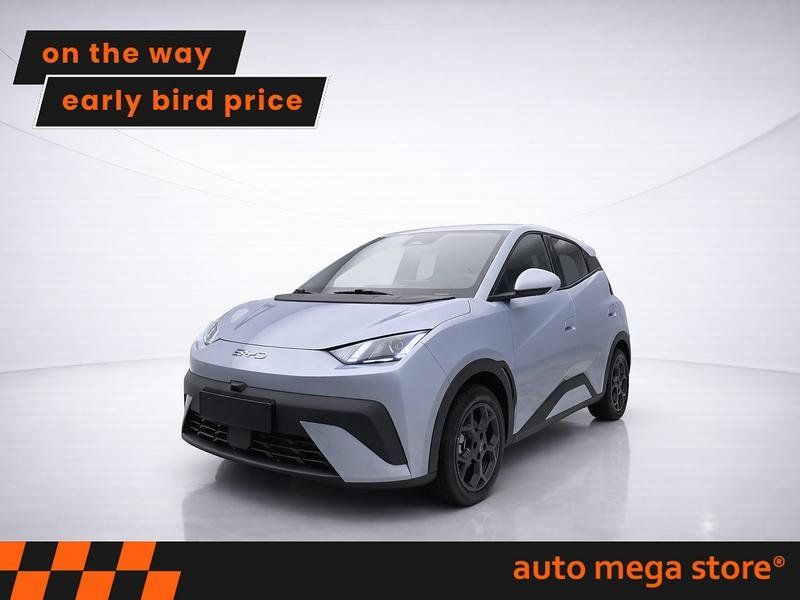 BYD DOLPHIN SURF