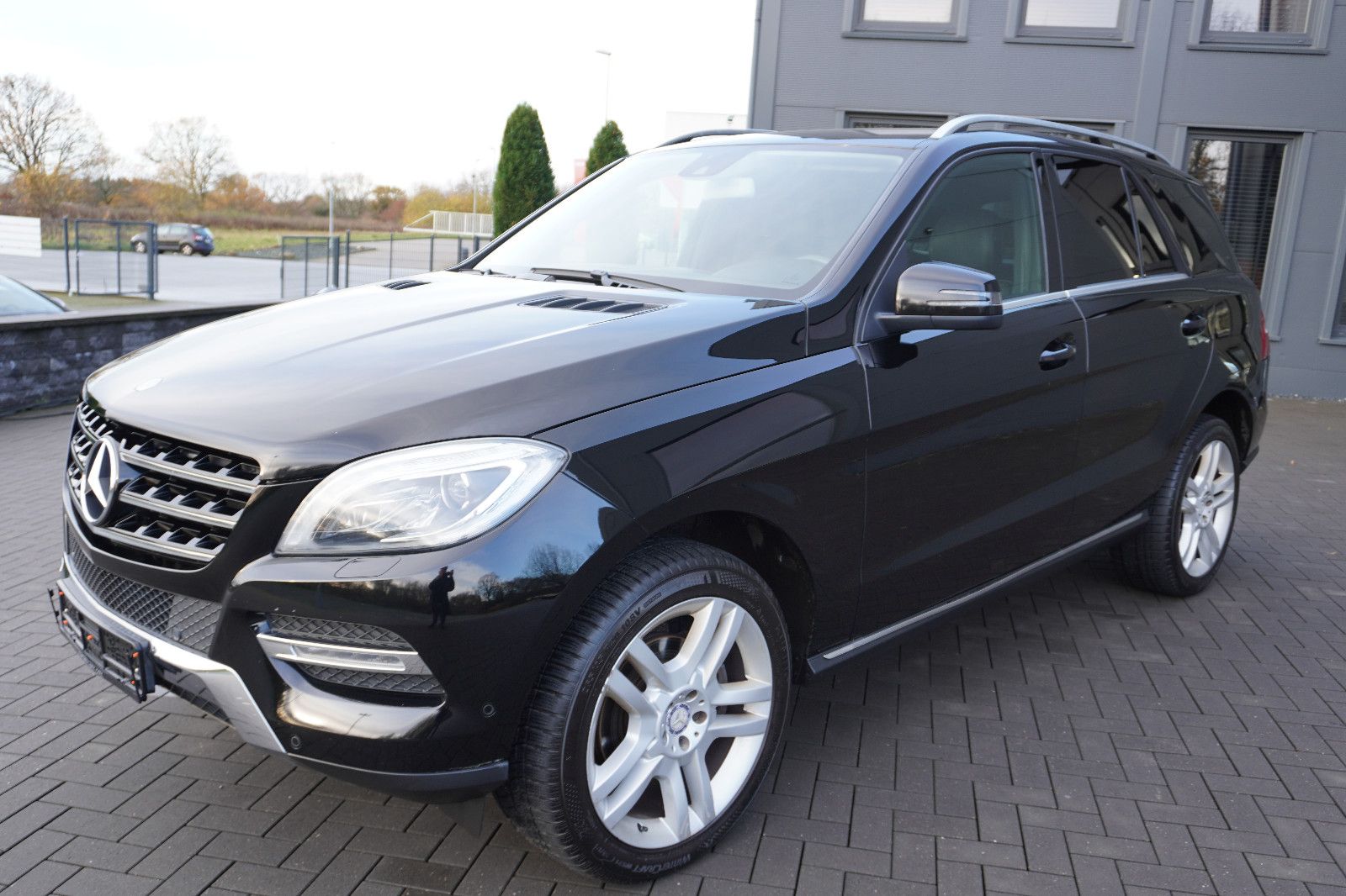 Fahrzeugabbildung Mercedes-Benz ML 250 CDI BlueTec