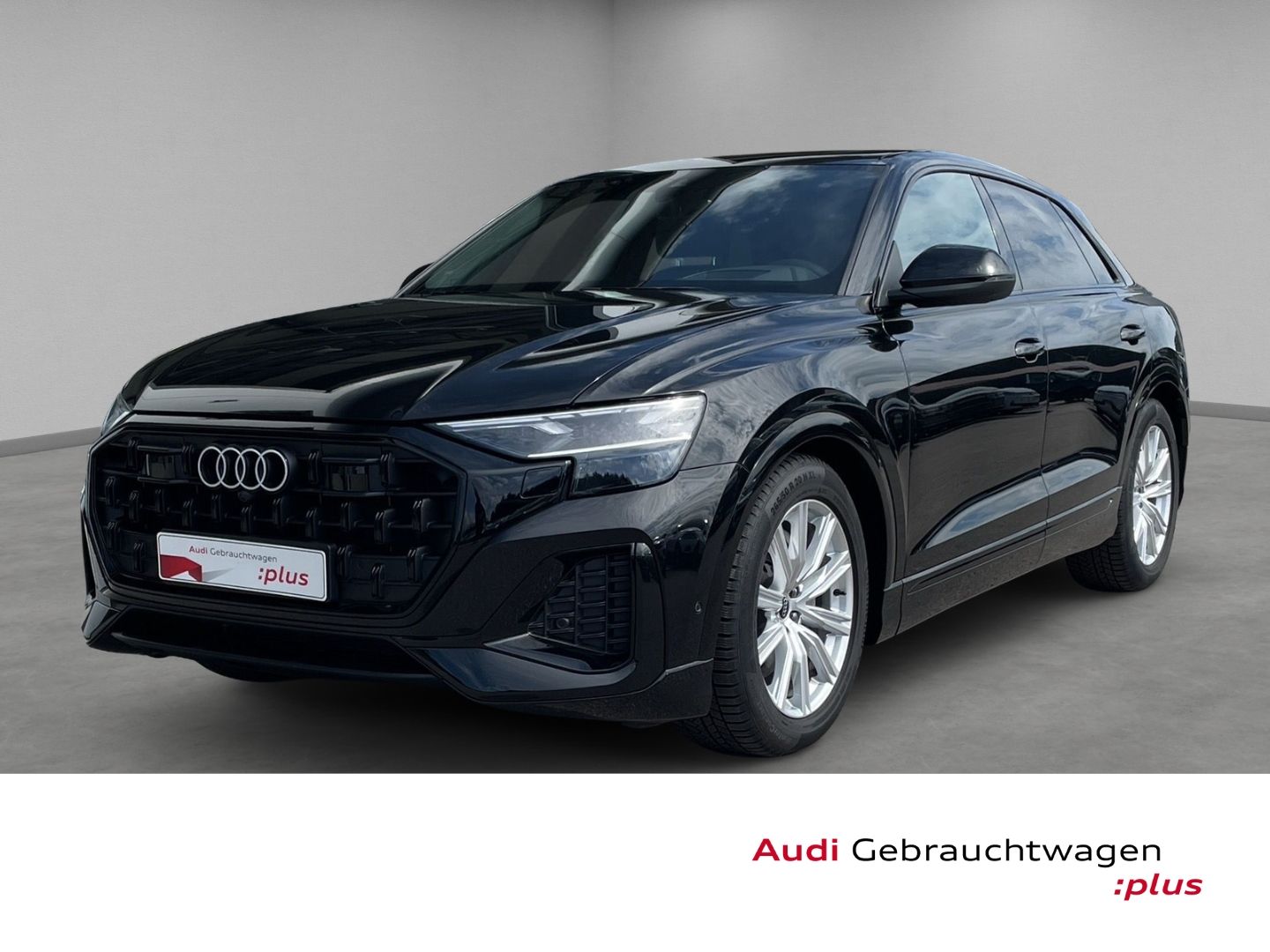 Audi Q8 SUV 50 TDI qu Matrix Pano StandHzg 360°Kamera