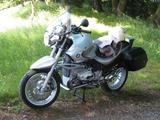 BMW R1150R  neuw.+BMW-Inspektion, Bat, Reifen, Kompl - Angebote