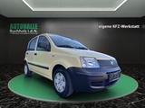 Fiat Panda 1.1 8V Active~SERVOI~ALLWETTERREIFEN~sehr  - Fiat Panda: Gelb
