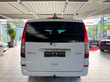Mercedes Viano - 9