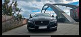 Jaguar XF 2.0 bj 2019 - Jaguar XF in Essen