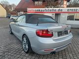 BMW 228 i Cabrio Sport Line*LH*KEY*MEMORY*XEN*HARMAN - BMW Gebrauchtwagen in Tübingen