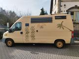 Fiat Wohnmobil Campingbus Surferbus Weltreisemobil 