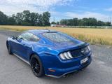 Ford Mustang 5.0 Ti-VCT V8 GT Auto GT - Ford Mustang Gebrauchtwagen in Köln