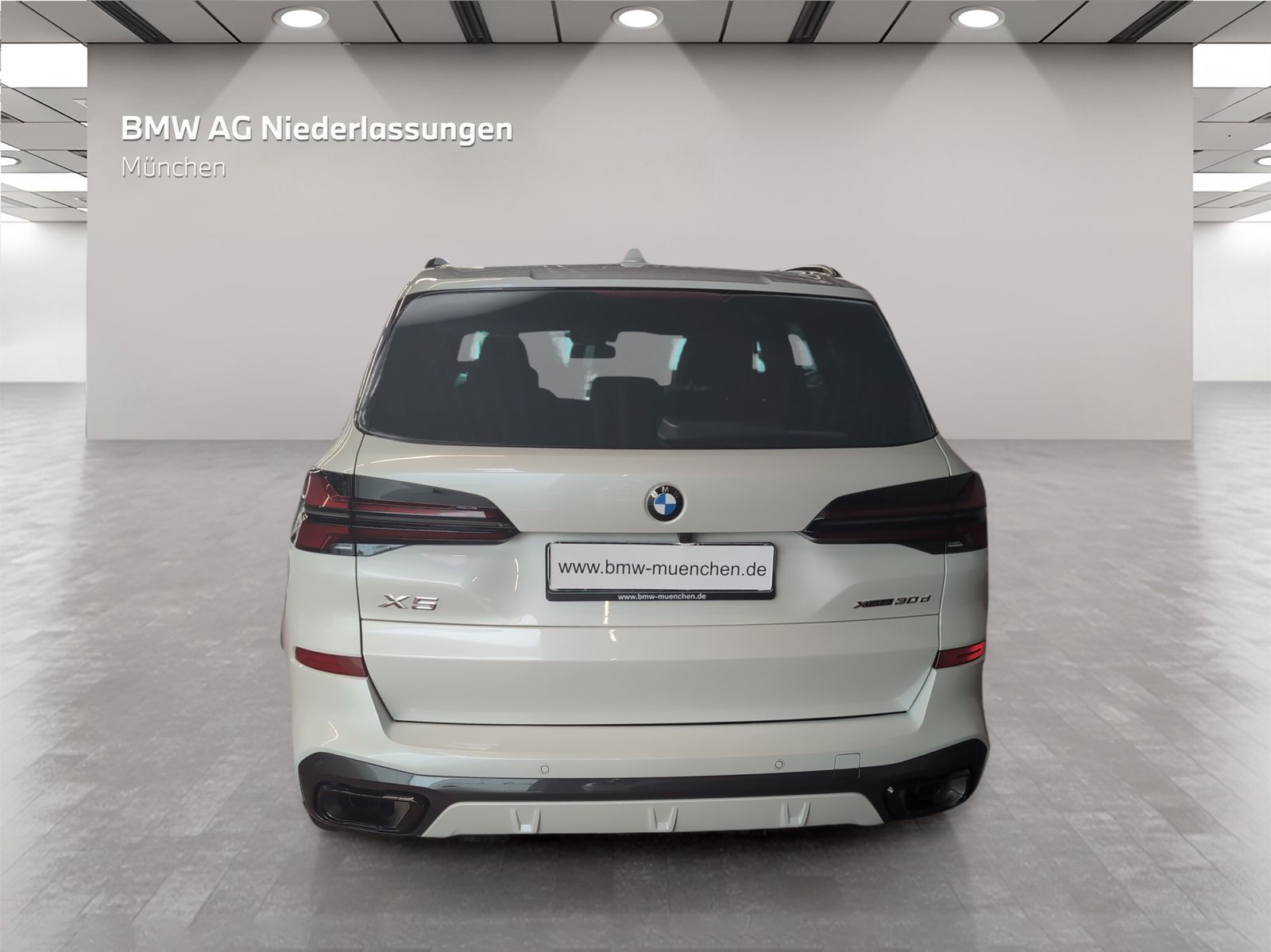 BMW X5 - Bild 7