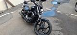 Yamaha XVS 1300 Custom Super Zustand (Chopper, Harley) - Offers matching your search criteria