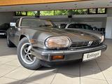 Jaguar XJS V12 Coupe H-Kennz. "original Traumzustand" - graue Jaguar XJS