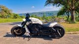 Harley-Davidson VRSCDX  V-ROD Special 1HD1 - HARLEY-DAVIDSON V ROD SPECIAL