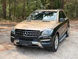 Mercedes-Benz ML 350 BlueTEC 4MATIC/TÜV bis 2028 - : Mercedes Ml