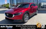 Mazda CX-30 2.5 (140PS) Schalter Centre-Line Des-P. Ma - Mazda CX-30 mit Hybrid-Antrieb: Centre Line