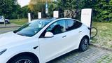 Tesla Model Y Performance EZ 11/22 96.000 km B2B - Tesla Model Y: Performance
