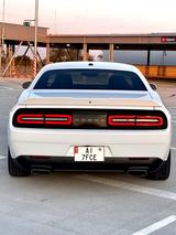 Dodge Challenger - : Dodge Challenger 2021