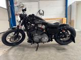 Harley-Davidson Sportster 1200 Nightster 48 (wenig km) - HARLEY-DAVIDSON NIGHTSTER