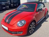 Volkswagen Beetle Cabriolet Sport BMT - : Orange, Cabrio