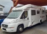 Carado T448 - Angebote