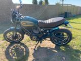Ducati Scrambler Icon British Racing Green Metallic - Offers matching your search criteria