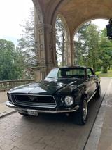 Ford Mustang V8 Oldtimer im Top Zustand  - Ford Mustang aus 1968: Coupe
