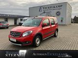 Mercedes-Benz Citan 111 Tourer Offroad Edition RFK PANO NAVI - : Van, Offroad